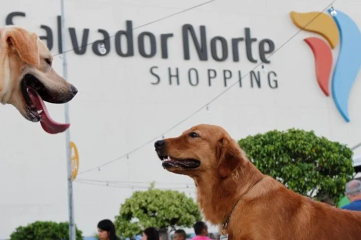 Banner Novidades (1)