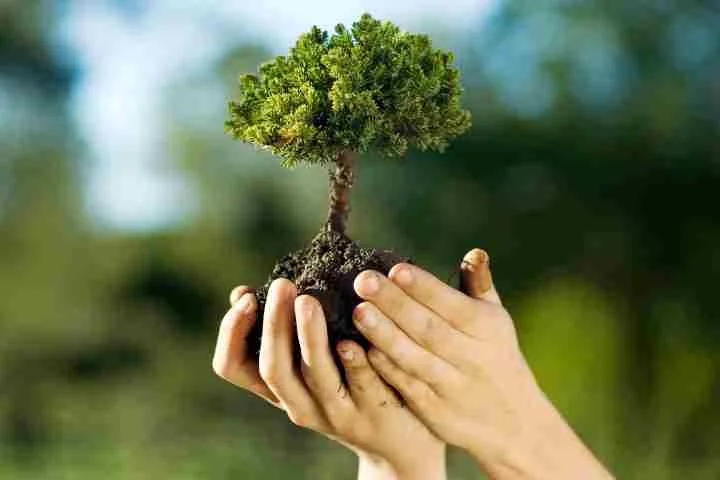 Semana do Meio Ambiente